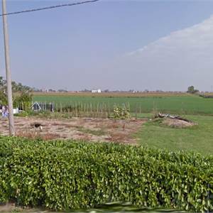 Sites / Plots for Development for Sale in Musile di Piave